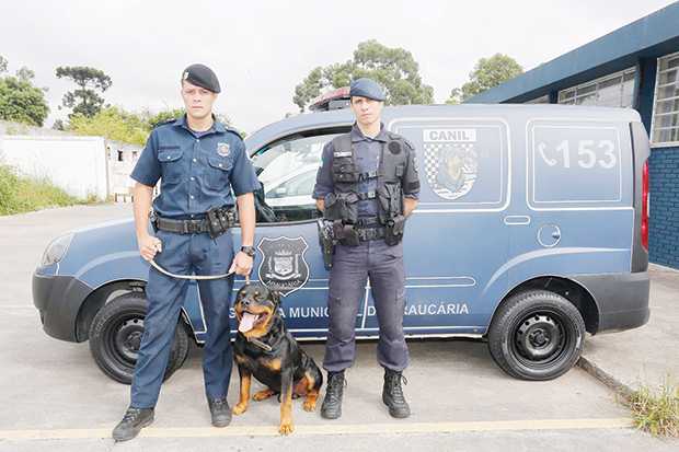 GM agora tem viatura adaptada para seus cães policiais