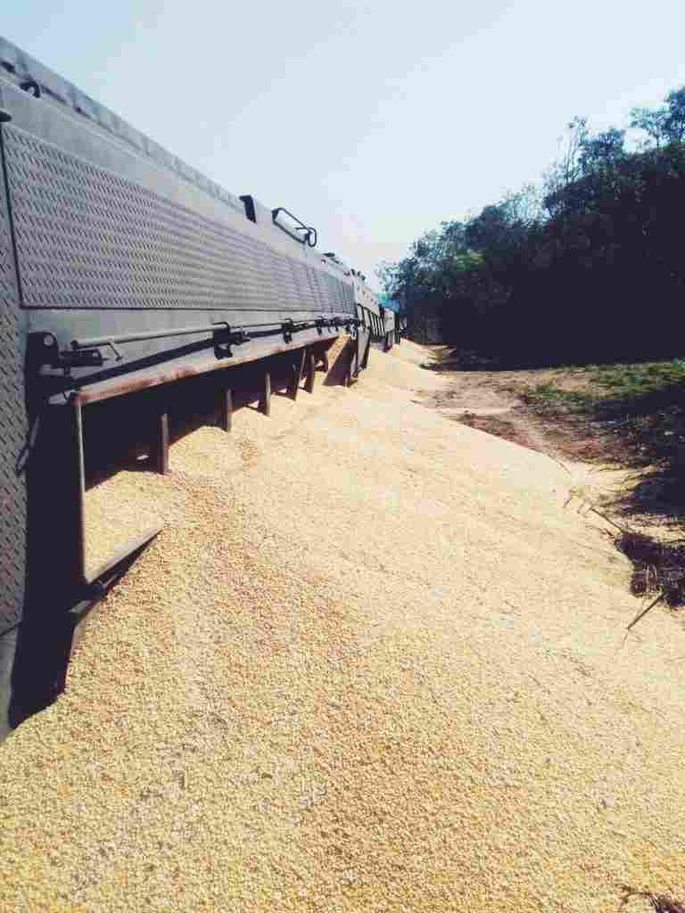 Trem da ALL descarrila na região de General Lúcio, área rural de Araucária