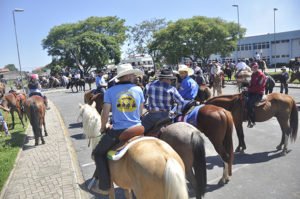 Desfile cívico reuniu centenas de cavaleiros e amazonas