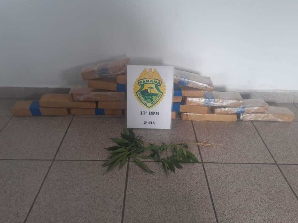 PM prende traficante e apreende 9kg de maconha e um pé da planta