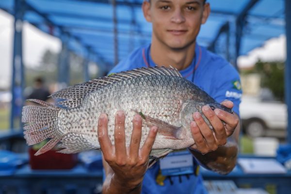 Prefeitura de Araucária garante que Feira do Peixe será realizada