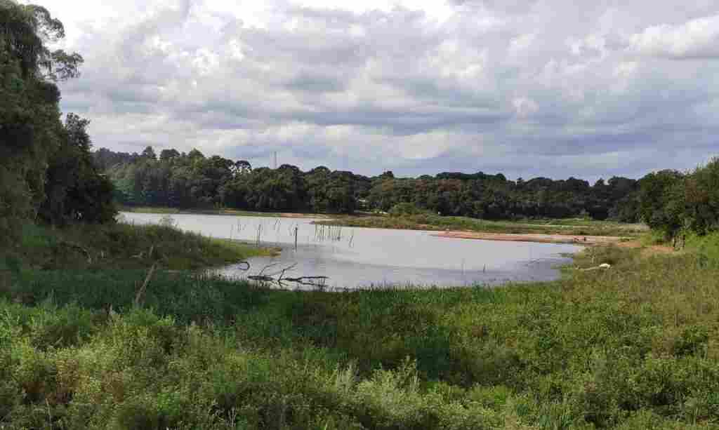 Com menos chuva em fevereiro, Paraná reforça pedido para economia de água