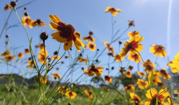 Semana de sol, mas chuvosa, começa nesta segunda-feira, 15