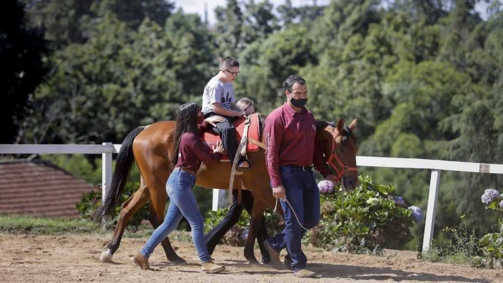 Prefeitura oferece terapia com cavalos gratuitamente