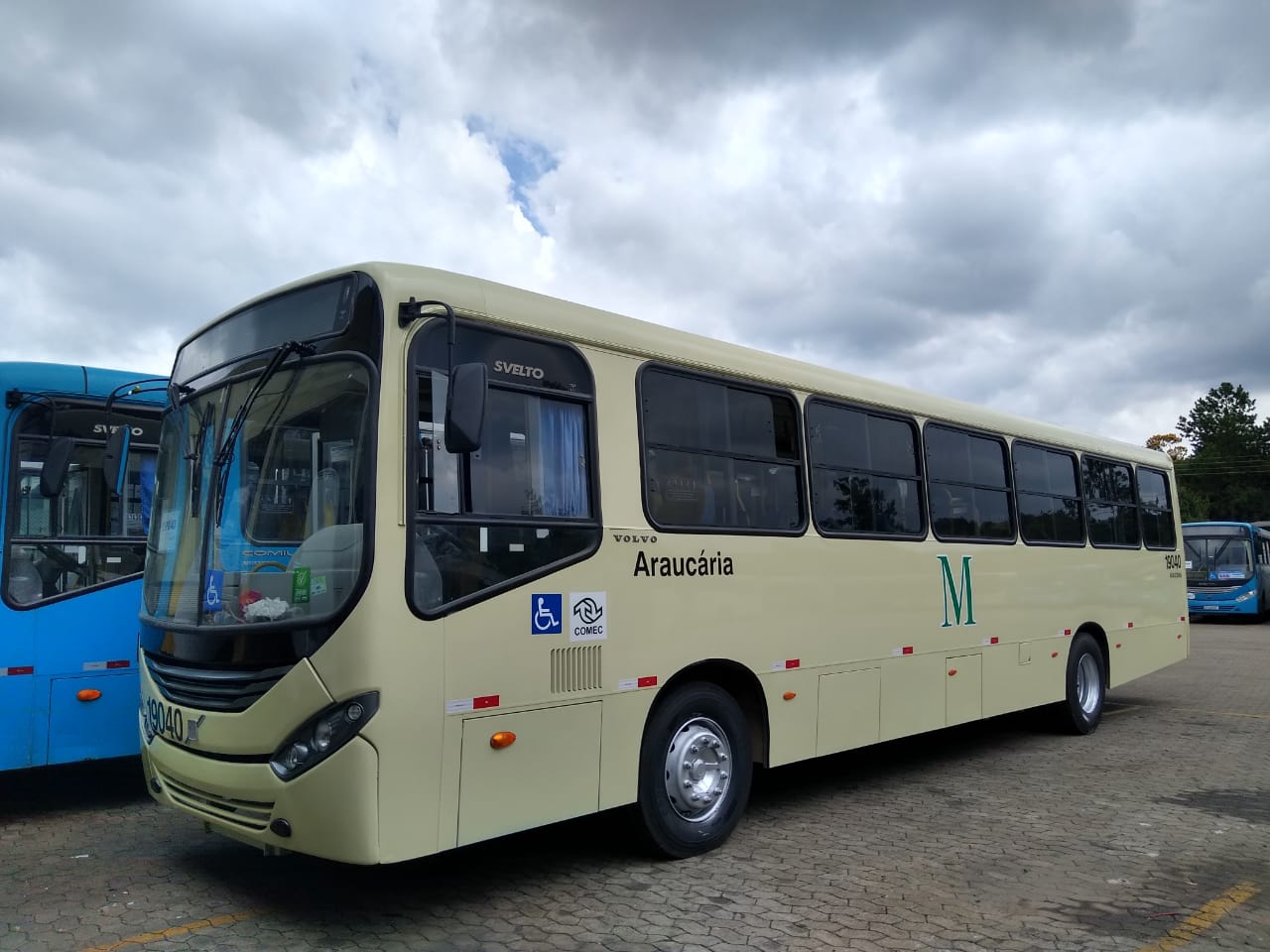 Araucária Transporte Coletivo adquire 10 ônibus e renova parte da frota