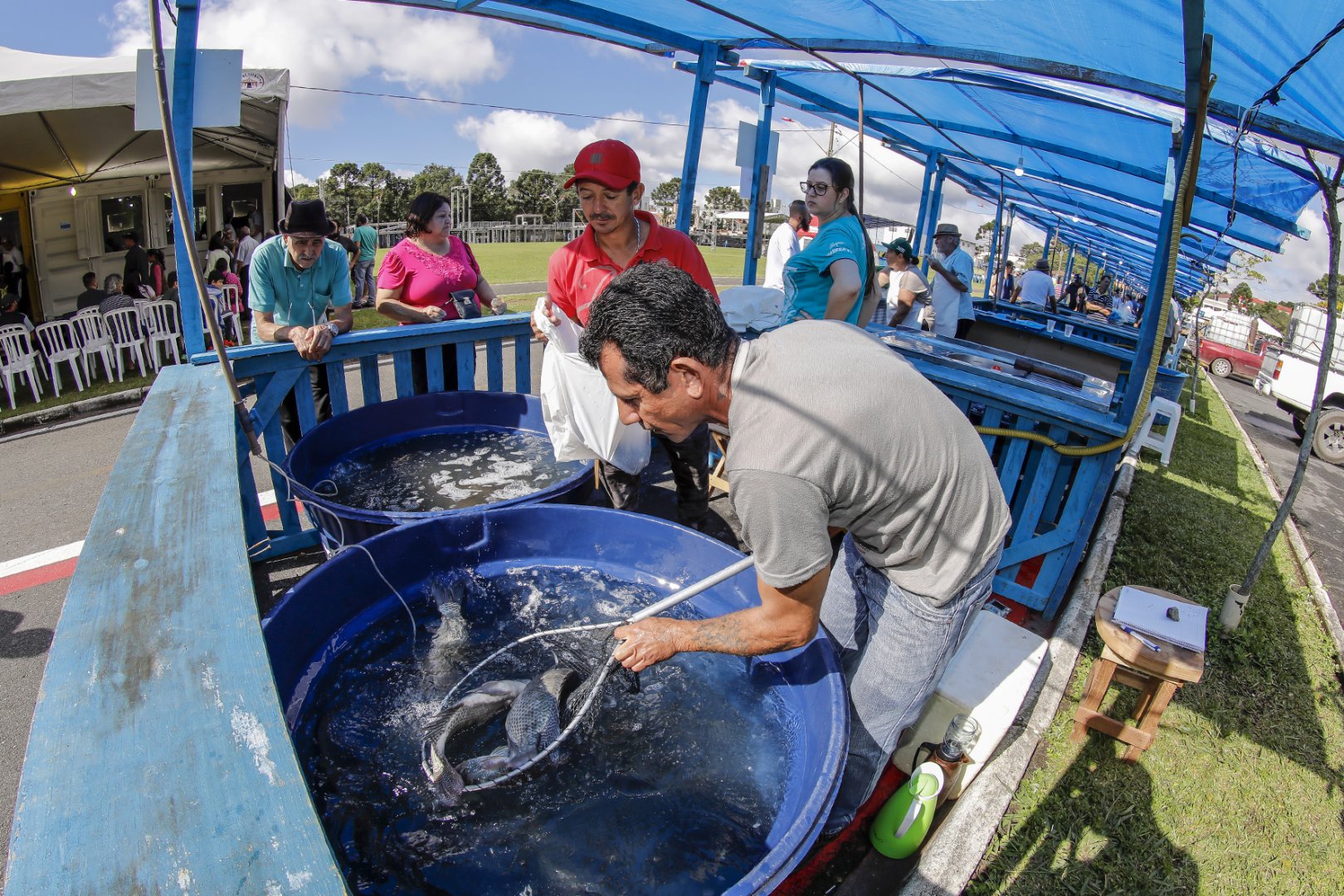 Feira do Peixe é cancelada e alternativa é comprar peixes nos pesque pagues