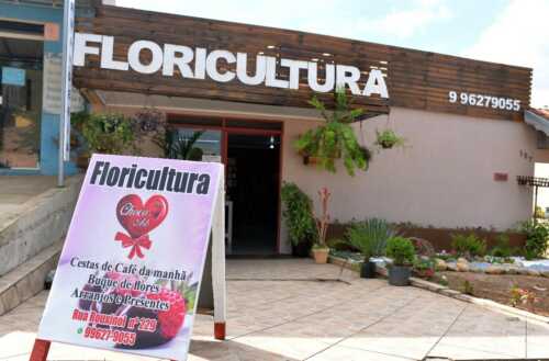 Choco Arts Floricultura muda para novo espaço e amplia oferta de serviços