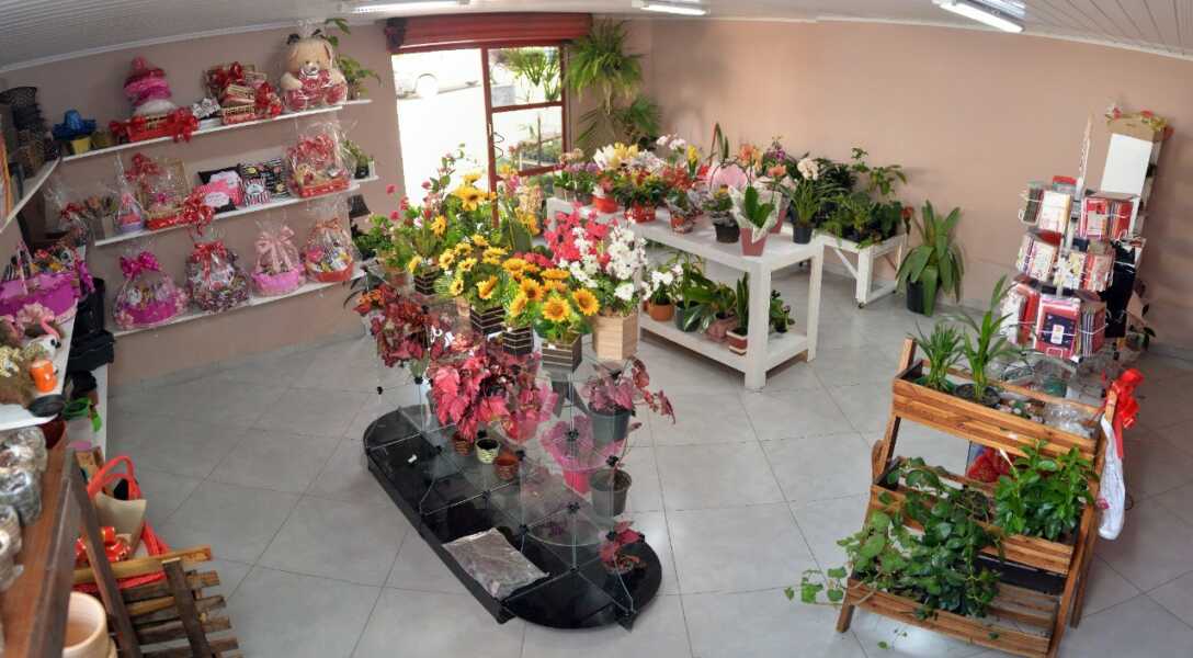 Choco Arts Floricultura muda para novo espaço e amplia oferta de serviços