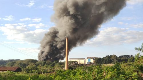 IAT exigiu relatório mais detalhado para mensurar possíveis danos ambientais