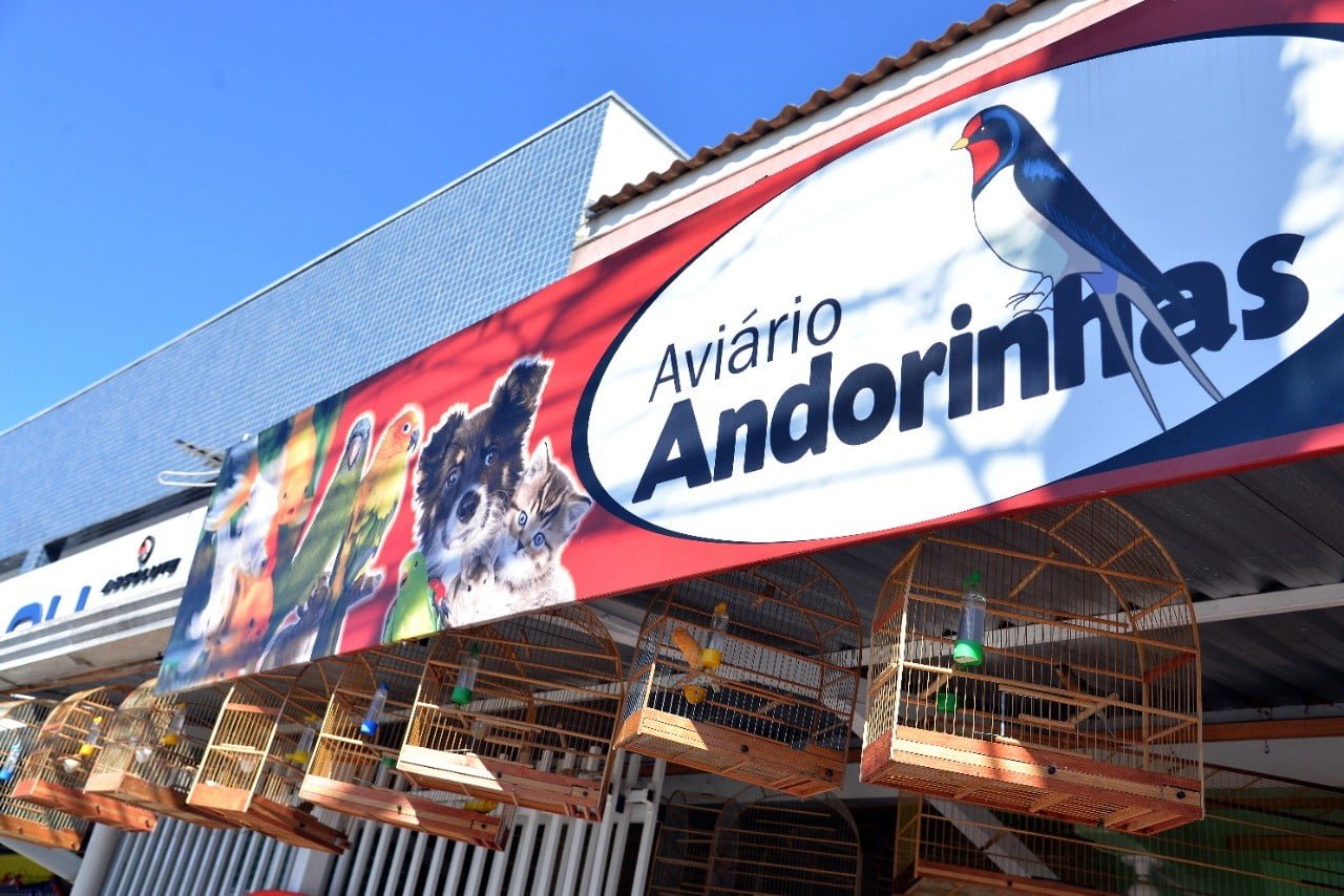 Aviário Andorinhas recebeu linha completa de gaiolas para aves e outros pets