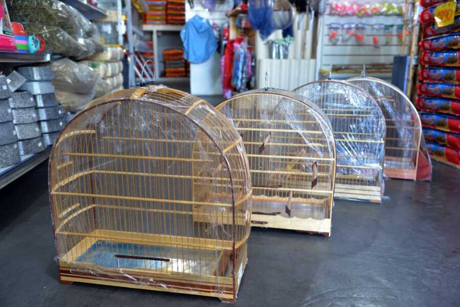 Aviário Andorinhas recebeu linha completa de gaiolas para aves e outros pets