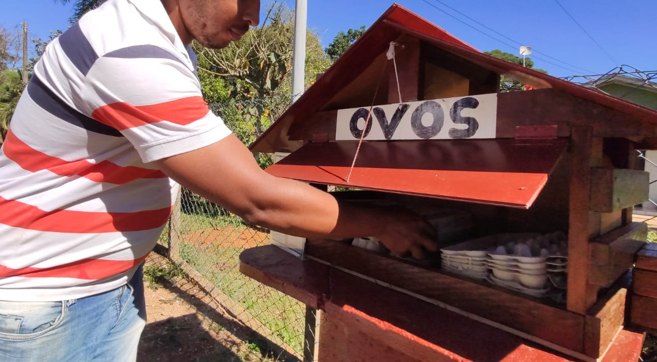 Empreendedor monta casinha de ovos caipira no sistema “auto service”