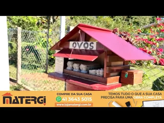 Empreendedor monta casinha de ovos caipira