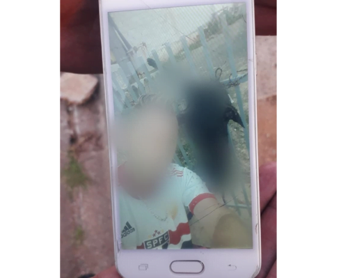 Homem que torturou e matou sua cadela de estimação é detido e vai responder pelo crime