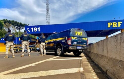 Em menos de 24 horas, PRF apreende mais de 450 quilos de maconha em Araucária
