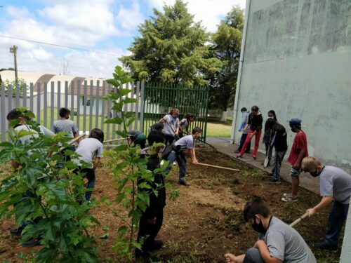 Alunos do Colégio Ana Kava estão empolgados com Projeto Horta na Escola