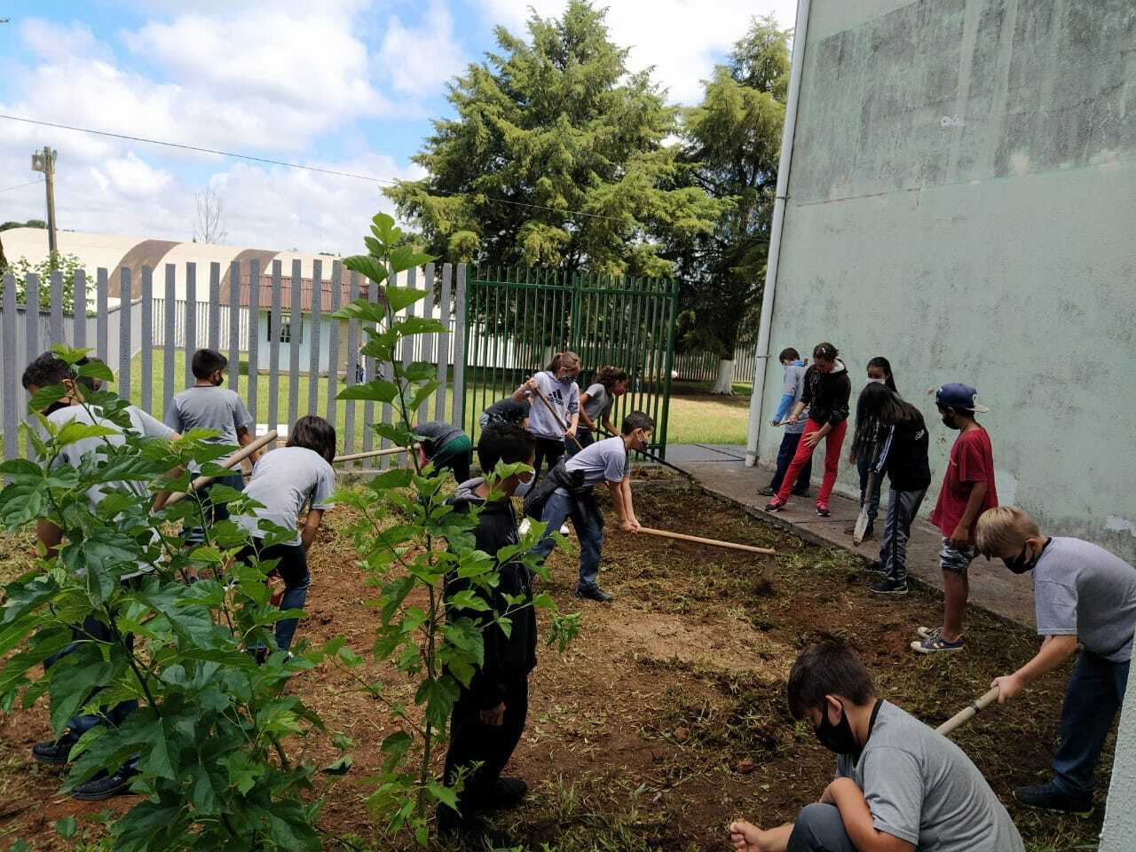 Alunos do Colégio Ana Kava estão empolgados com Projeto Horta na Escola