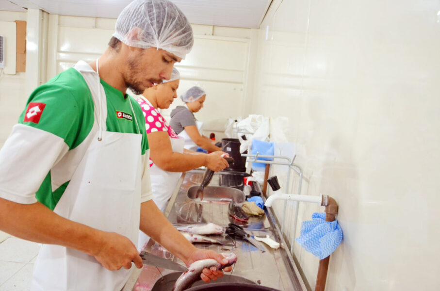 Em dois dias, piscicultores venderam cerca de 22 toneladas de peixes