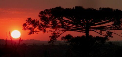 Temperaturas mais baixas vão predominar no restante da semana em Araucária