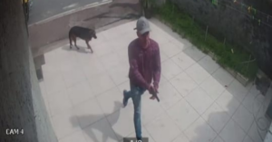 Bandidos tentam roubar carga de gás e dão coronhada na cabeça do responsável pelo local