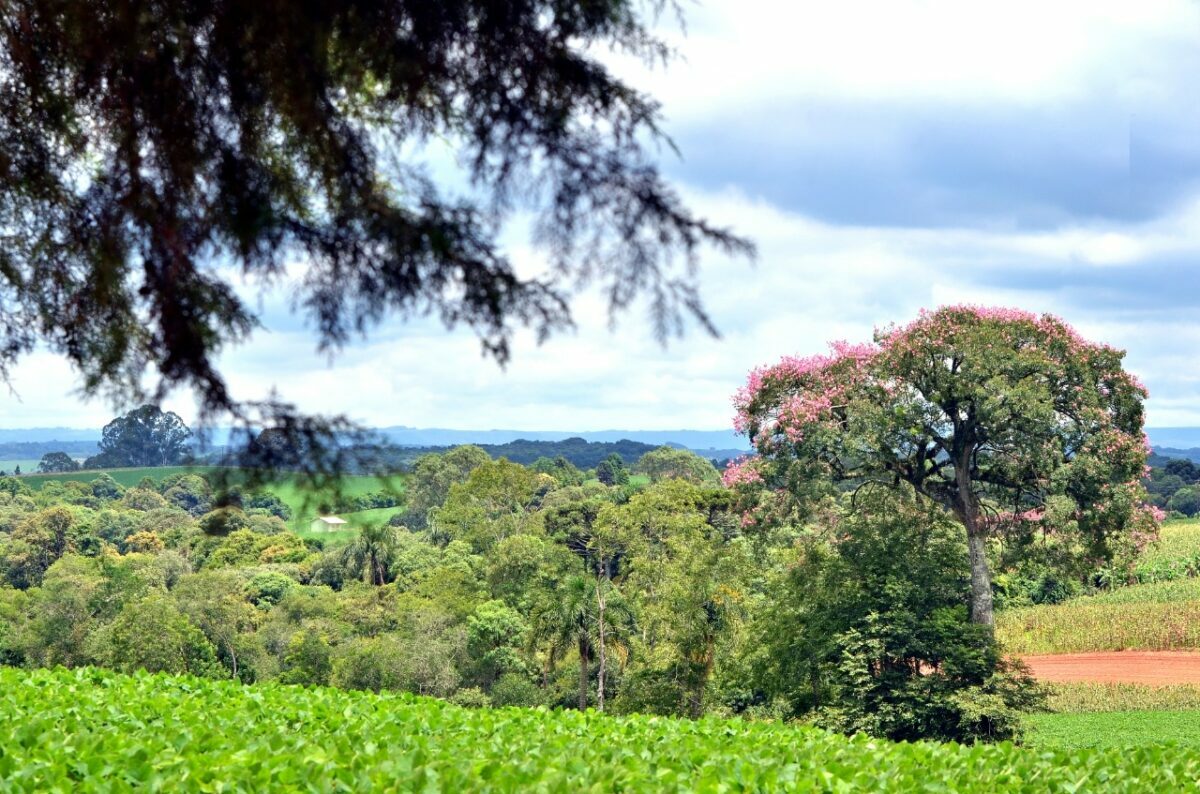 Temperaturas voltam a ficar agradáveis nesta semana