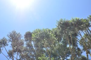 Clima ameno marca o início da primavera
