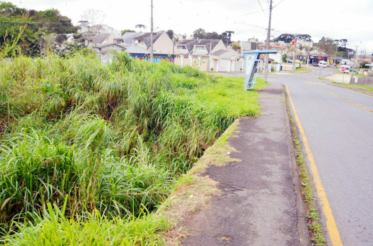 Moradores reclamam de ponte sem segurança no bairro Sabiá