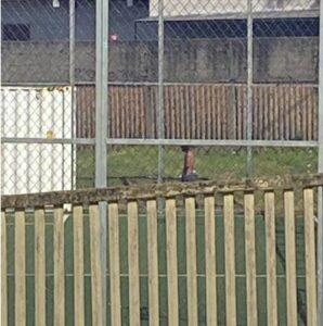 Homem pratica gesto obsceno em via pública e é preso pela GM