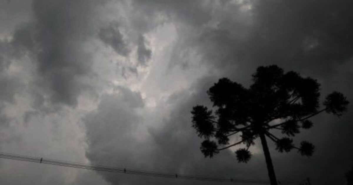 Previsão de temperaturas amenas e pancadas de chuva em Araucária