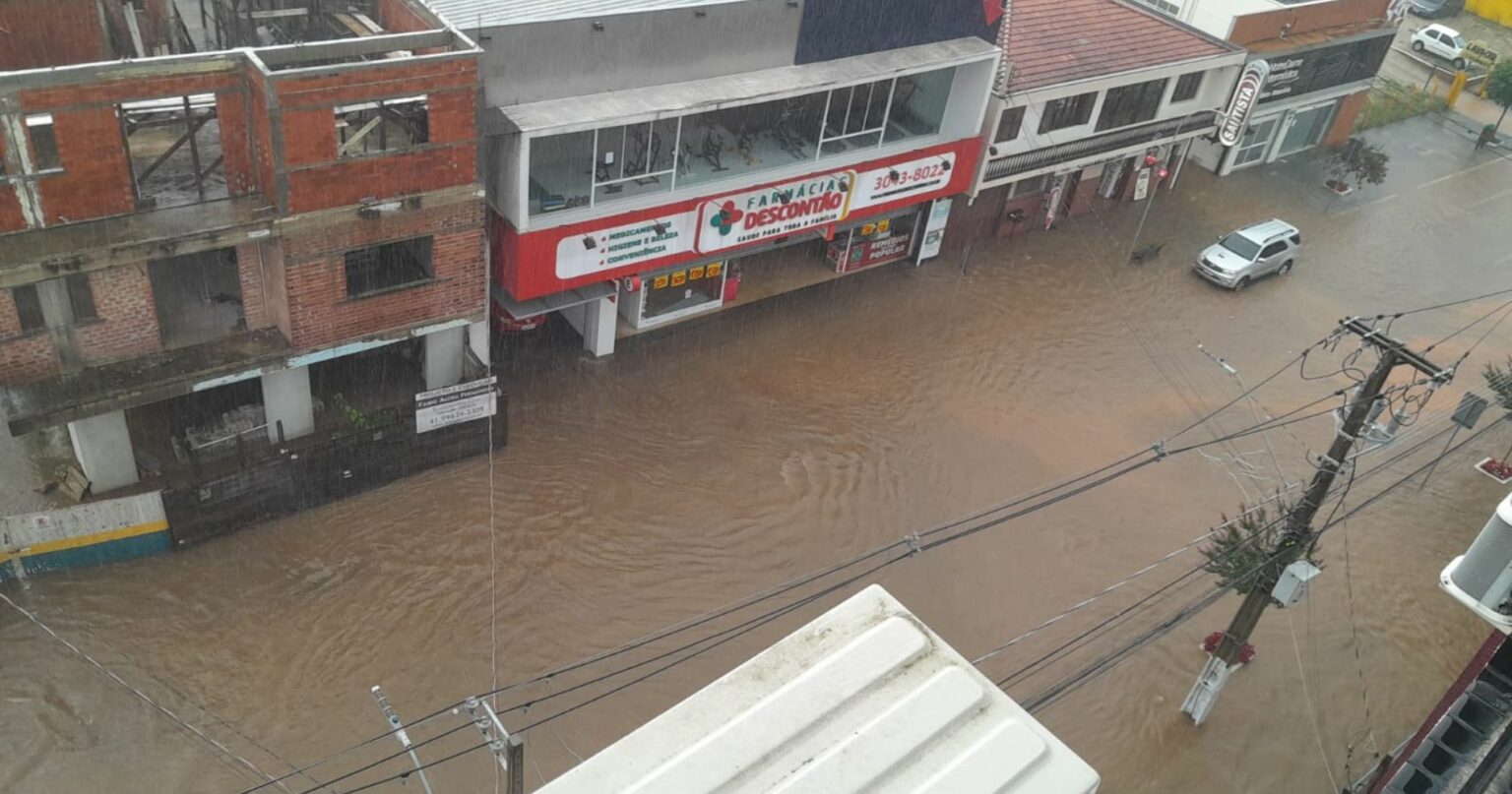 Chuva Forte Deixa Ruas Alagadas E Provoca Quedas De árvores Em Bairros ...