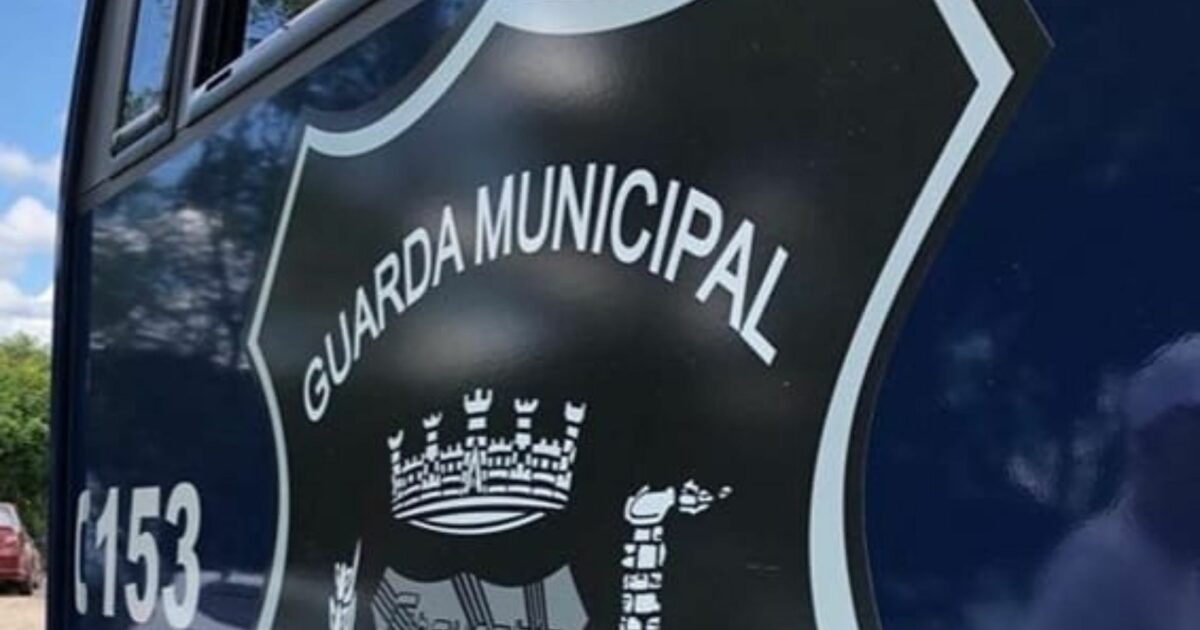 Guarda Municipal recebeu mais de 24 mil chamadas em 2022