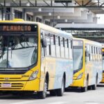 Frota do TRIAR ganha mais 7 ônibus e 81 novos horários a partir de fevereiro