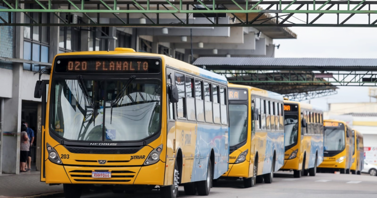 TRIAR divulga nova linha e rotas de ônibus a partir do dia 1de fevereiro
