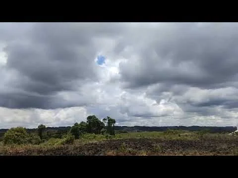Corpo de Bombeiros é acionado para apagar princípio de incêndio em matagal perto da empresa Valmet.