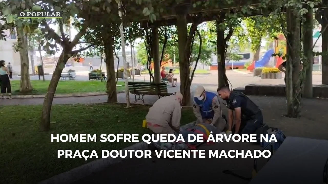 Homem sofre queda de árvore na Praça Doutor Vicente Machado
