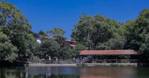 Festa de aniversário de Araucária movimenta o Parque Cachoeira no final de semana