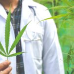 Neurologista de Araucária fala sobre a importância do uso da Cannabis para tratar certas doenças
