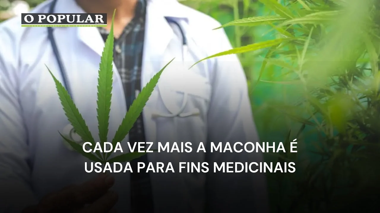 CADA VEZ MAIS A MACONHA É USADA PARA FINS MEDICINAIS
