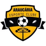 Araucária ECR divulga boa parte do elenco que irá disputar a Segundona Paranaense