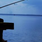 Elizel Dutra: Coluna do Pescador