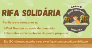 Abrigo Adote Um Focinho Guajuvira está realizando rifa solidária com dois prêmios
