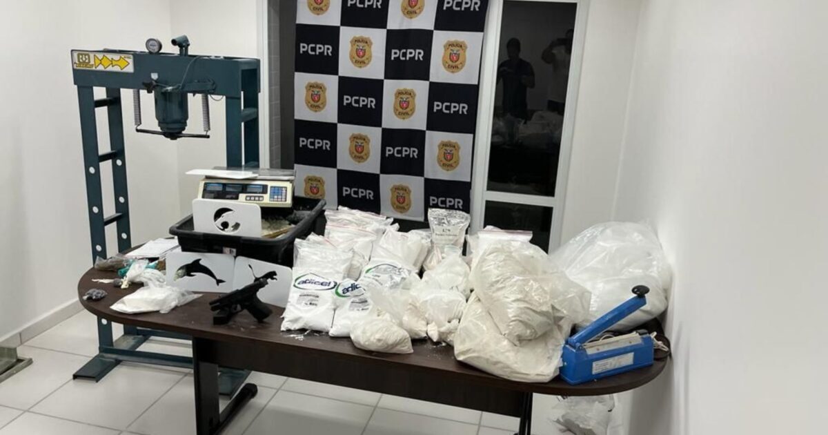 Policia Civil de Araucaria desmonta fabrica de cocaina no Thomaz Coelho e prende duas mulheres