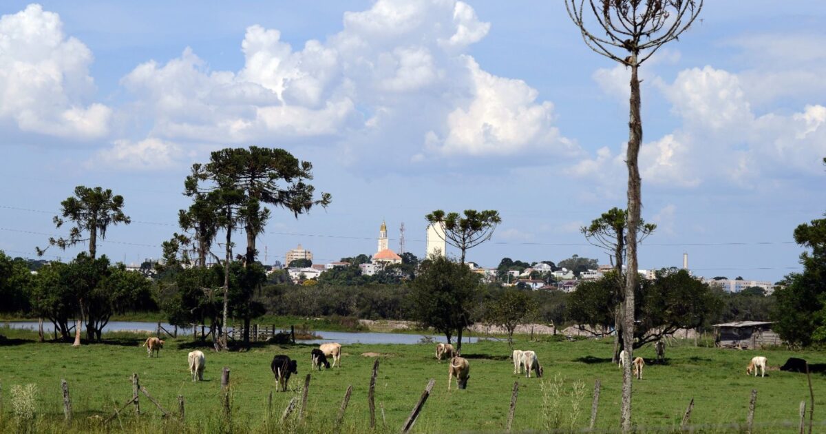 SAIBA COMO COMEÇAR BEM EM RANCH SIMULATOR: Método para evoluir