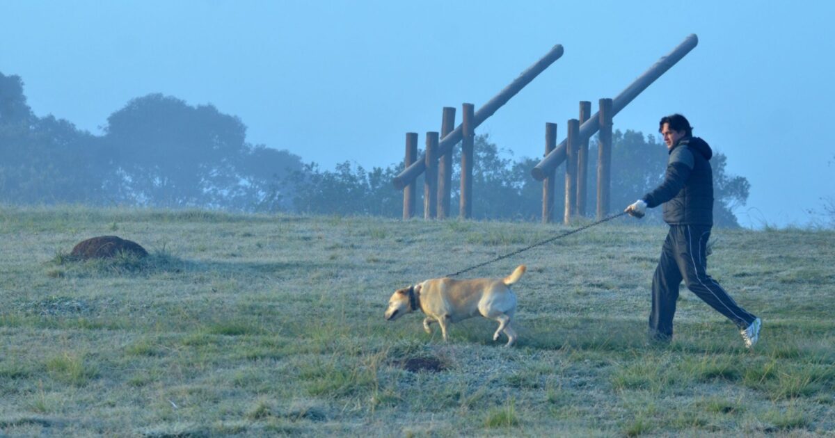 Semana começa sem previsão de chuva e com a temperatura não passando de 21