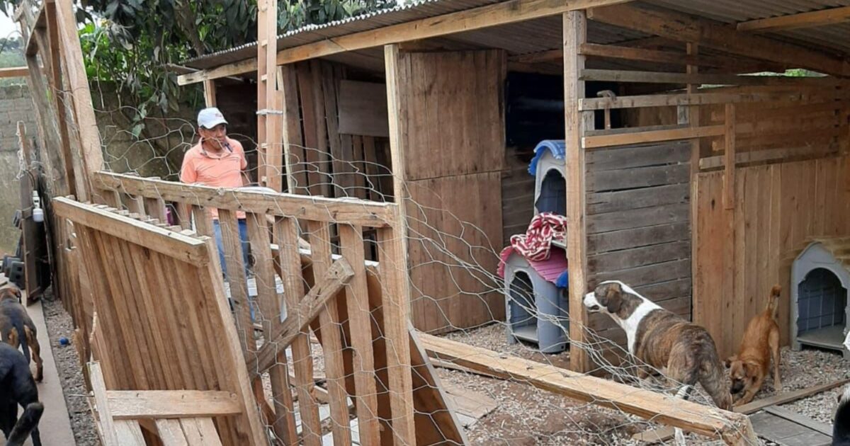 Protetora de animais pede ajuda para reconstruir canil danificado pelas chuvas