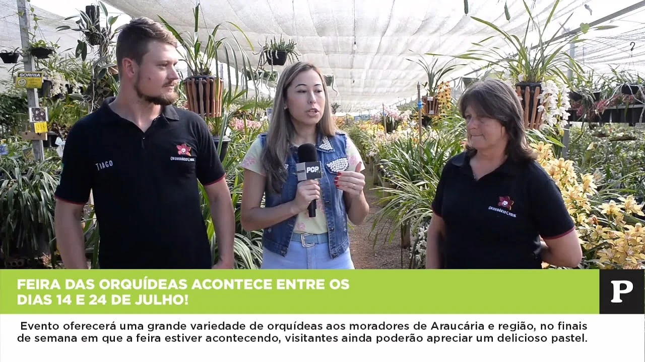 Feira das orquídeas acontece entre os dias 14 e 24 de julho