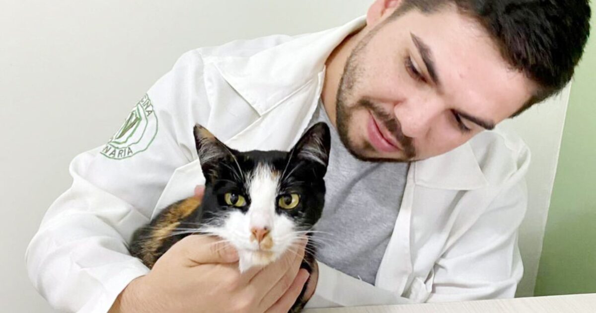 Clínica Veterinária Araucária - CVA completa três anos de dedicação aos animais