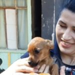 Sete cachorros foram resgatados na área rural e protetora pede ajuda com doações