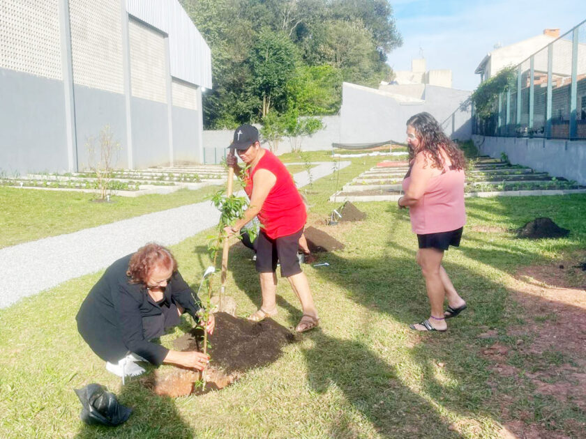 Escola Arlindo inaugura horta que produzirá alimentos para complementar a merenda escolar