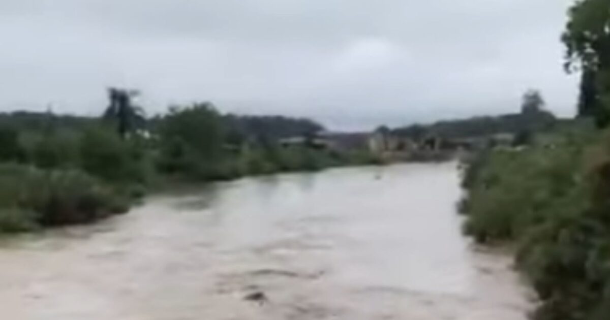 Fortes chuvas elevam nível do rio Barigui